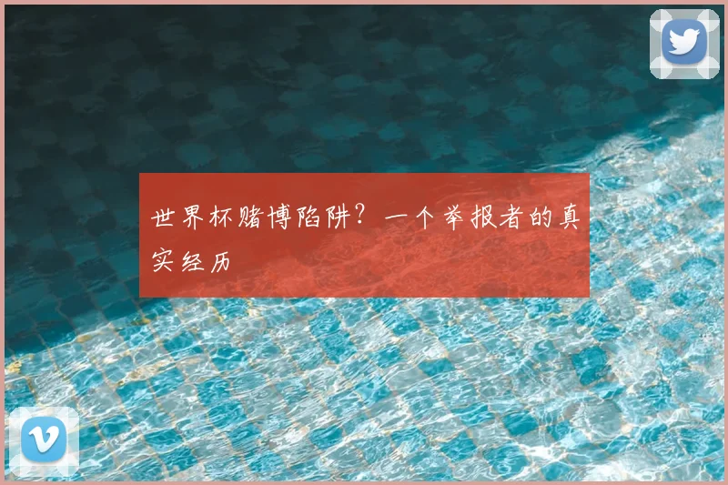 世界杯赌博陷阱?一个举报者的真实经历